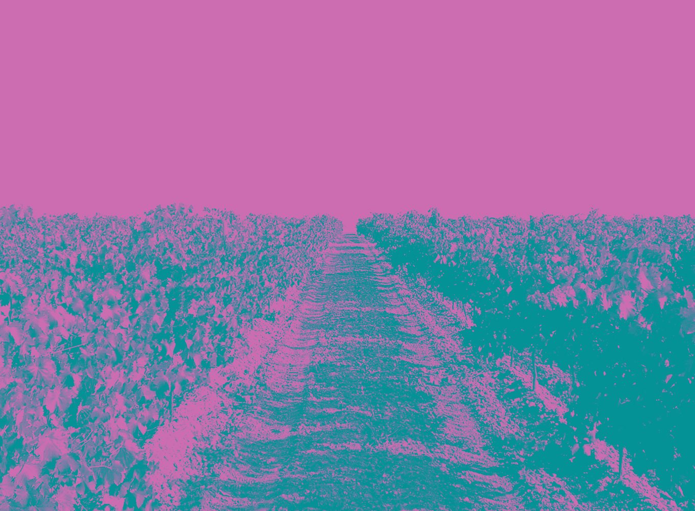 20220125_Ribera del Duero